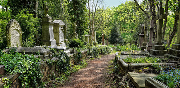 L’entretien des cimetières et l’enterrement écologique