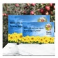 Plaque Funéraire Champ Fleuri Tournesols