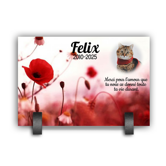 Plaque Funéraire Animaux Chat