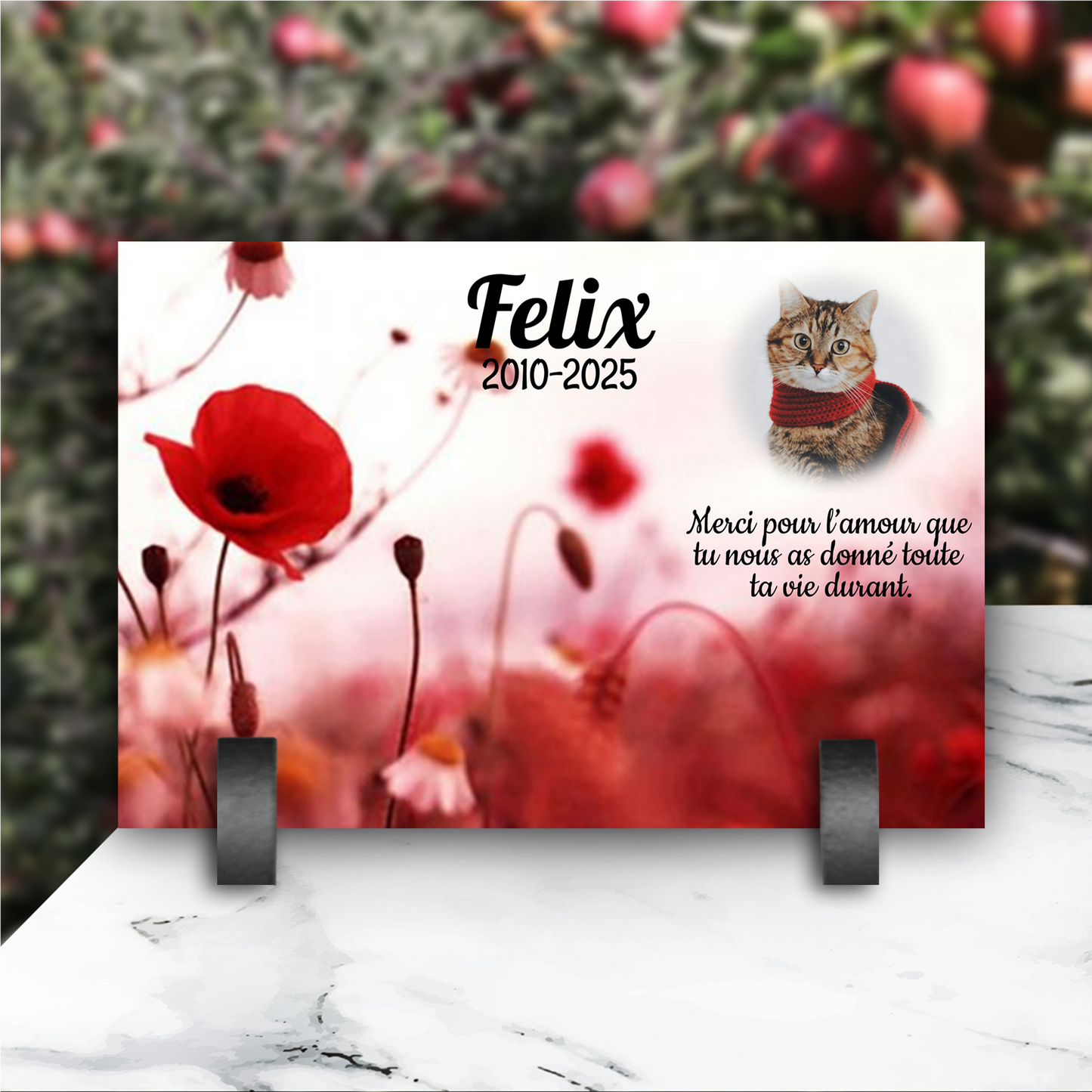 Plaque Funéraire Animaux Chat