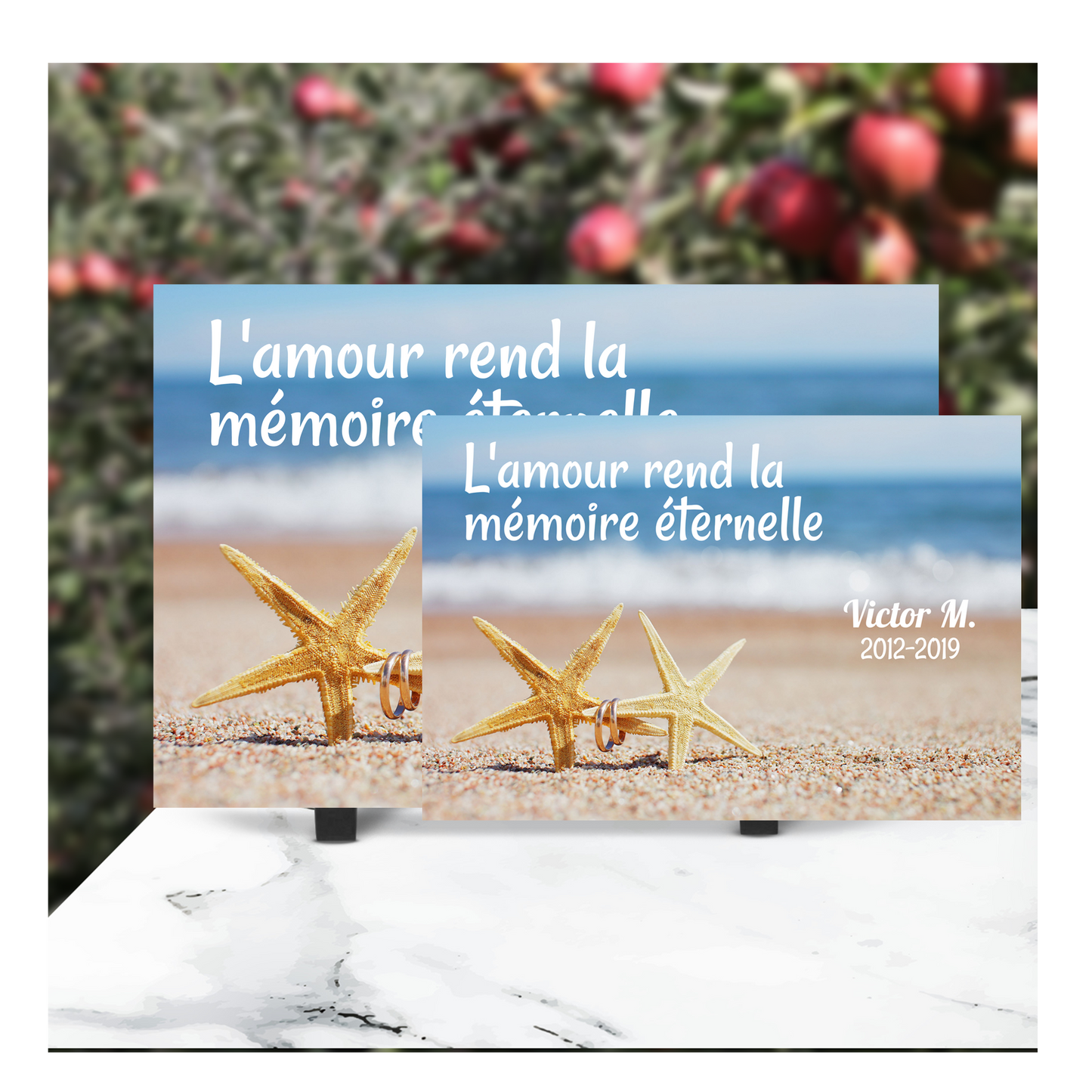 Plaque Funéraire Etoile de Mer