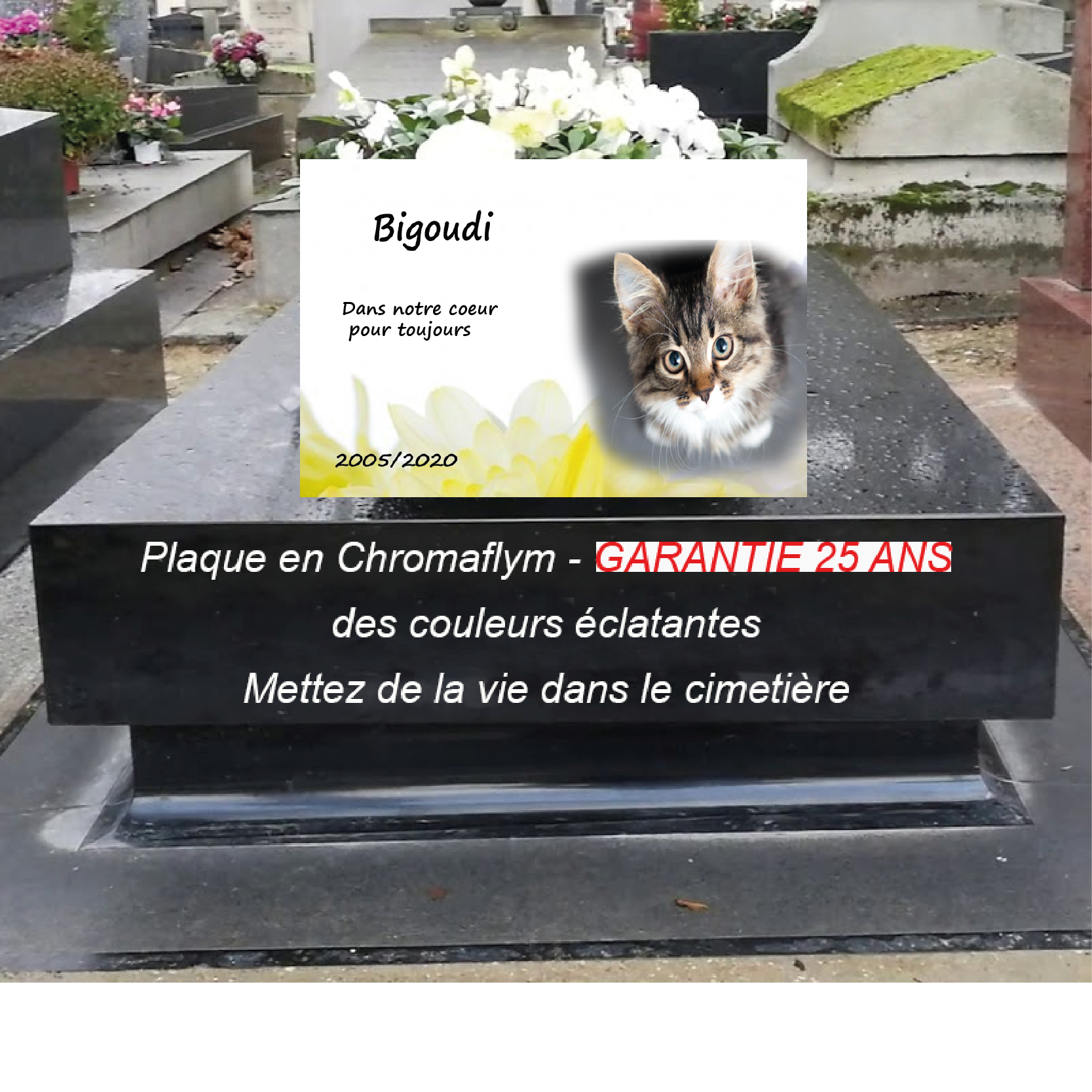 Plaque funéraire pour animal - Modèle chat, personnalisable - Boutique  Petits Anges