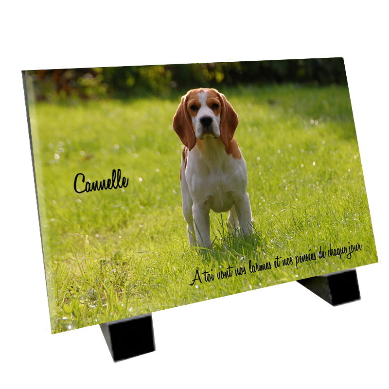 plaque funéraire représentant un Beagle