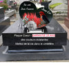 Plaque funéraire en forme de cœur "oiseau tropical | Lesplaquesdespetitsanges.com